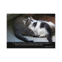 Ik zal (Cat) bedrijfs of het Roepen Kaarten verstr