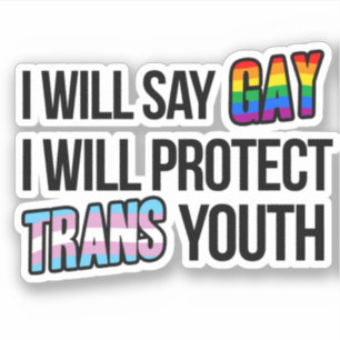 Ik zal gay zeggen en trans jongeren beschermen sticker