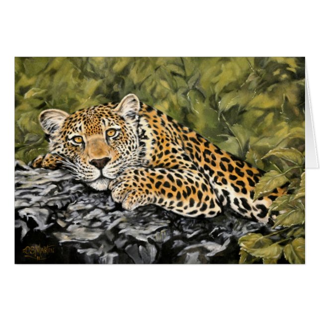 Ik zal geduldig zijn (Voorkant Horizontaal)