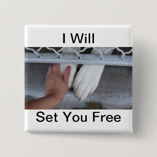 Ik zal je gratis Button geven