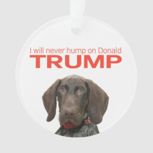 Ik zal nooit met Donald Trump meegaan. Ornament