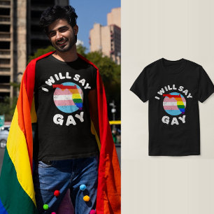 Ik zal zeggen dat Gay Florida LGBTQIA Rainbow LGBT T-shirt