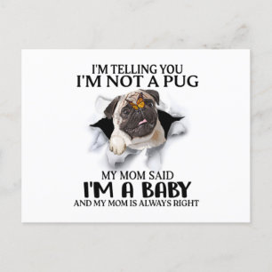 Ik zeg je, ik ben geen pug, ik ben een babypuglief briefkaart