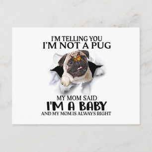 Ik zeg je, ik ben geen pug, ik ben een babypuglief briefkaart