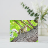 Ik zie Briefkaart van je eekhoorn (Staand voorkant)