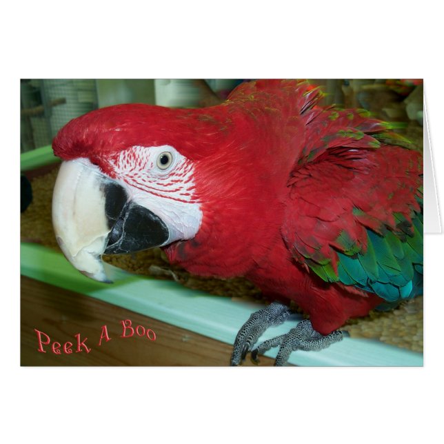 Ik zie je (Voorkant Horizontaal)