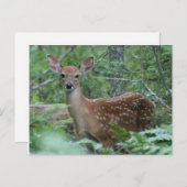 Ik zie je briefkaart (Voorkant / Achterkant)