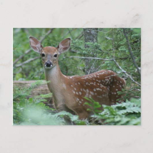 Ik zie je briefkaart (Voorkant)