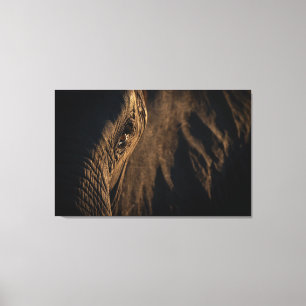 'Ik zie je ziel' Olifantenoog Canvas Afdruk