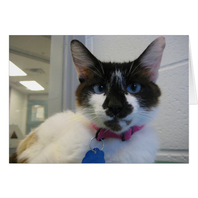 Ik zie jou ook (Voorkant Horizontaal)