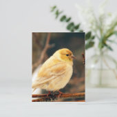 Ik zie Lente Briefkaart (Staand voorkant)