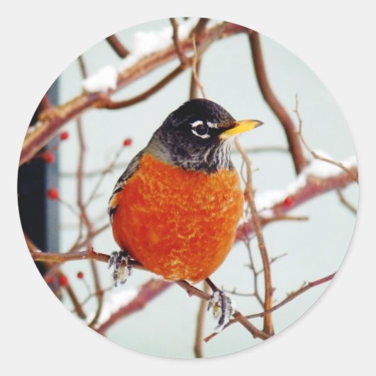 Ik zie Lente Ronde Sticker (Voorkant)