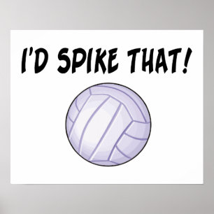 Ik zou die volleybal hebben gespierd poster