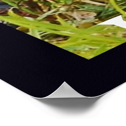 Ik zou een lang ijzer voorstellen poster (Hoek)