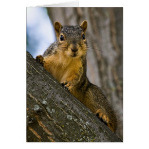 Ik zou geïnteresseerd kunnen zijn