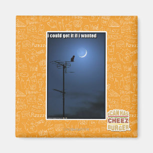 Ik zou het kunnen krijgen als ik wilde magneet