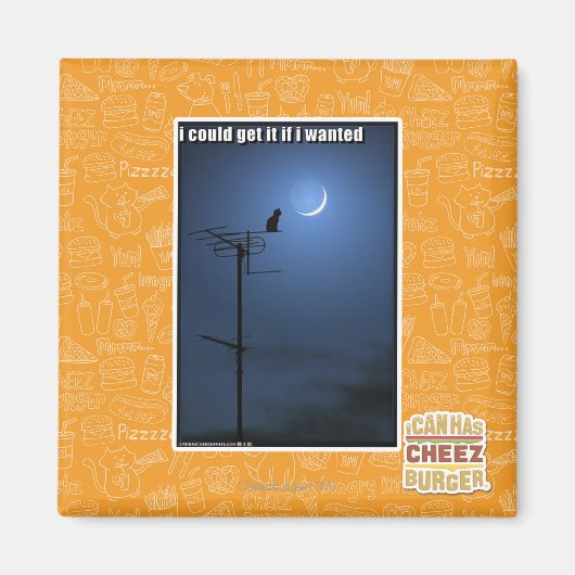 Ik zou het kunnen krijgen als ik wilde magneet (Voorkant)