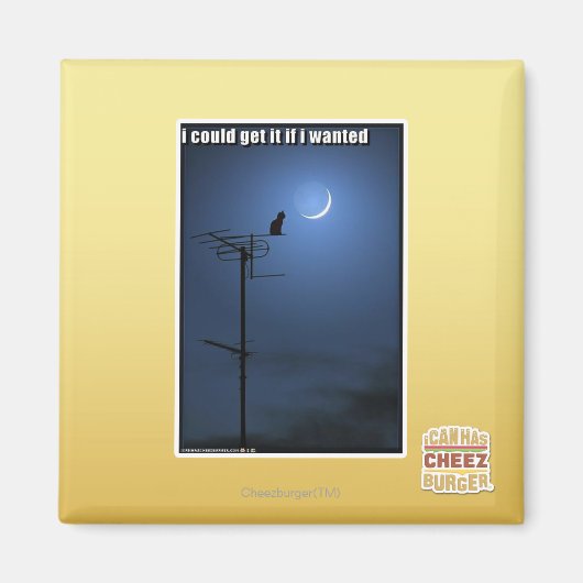 Ik zou het kunnen krijgen als ik wilde magneet (Voorkant)