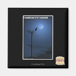 Ik zou het kunnen krijgen als ik wilde magneet