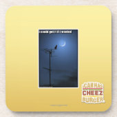 Ik zou het kunnen krijgen als ik wilde onderzetter (Voorkant)