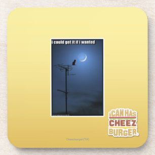 Ik zou het kunnen krijgen als ik wilde onderzetter