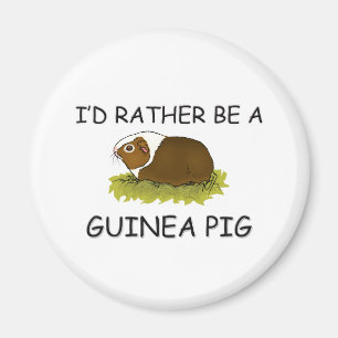 Ik zou liever een cavia zijn. magneet