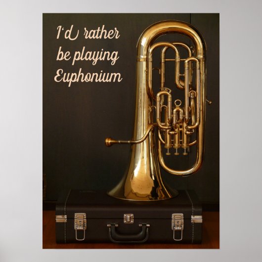 Ik zou liever Euphonium citeren messing muziek Poster (Voorkant)