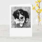 Ike Smiles Kaart (Gele Bloem)