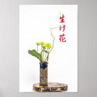Ikebana