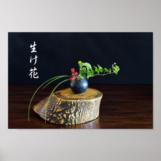 Ikebana Poster (Voorkant)