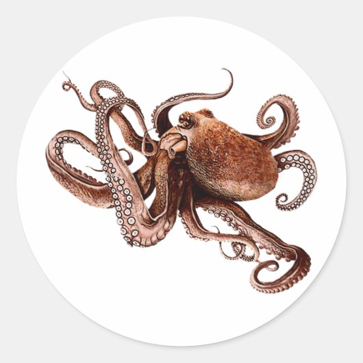 Iker The Octopus Ronde Sticker (Voorkant)