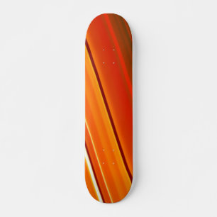 Il est temps de faire la fête du skateboard sauvag