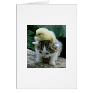 Il n'est pas lourd ; Il est mon frère