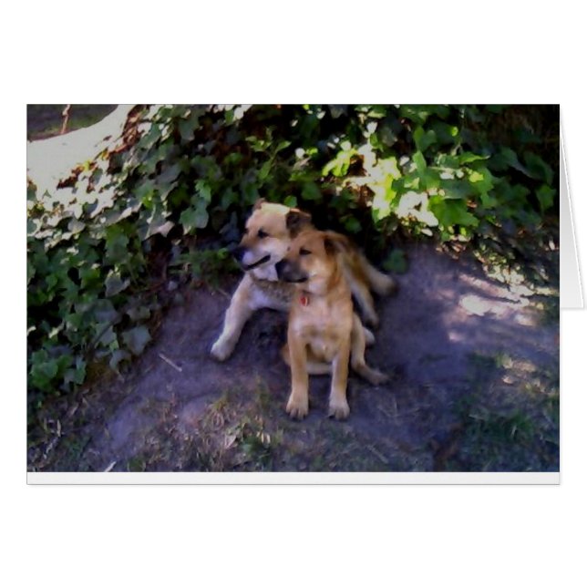 Il n'y a pas d'endroit où je préférerais être (Devant horizontal)