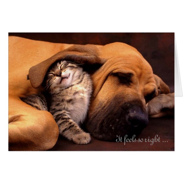 Il sent ainsi la droite être avec vous (Devant horizontal)