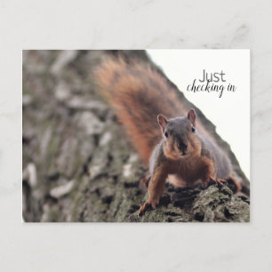 Il Suffit D'Archiver Une Carte Postale