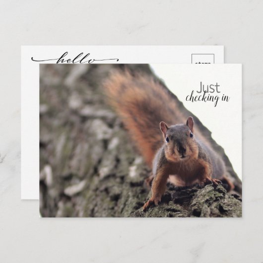 Il Suffit D'Archiver Une Carte Postale (Devant / Derrière)