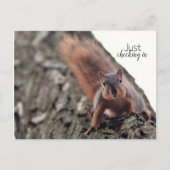 Il Suffit D'Archiver Une Carte Postale (Devant)