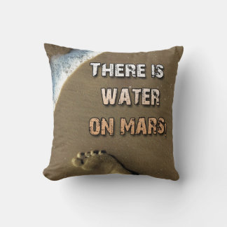 Il Y A De L'Eau Sur Mars Coussin !
