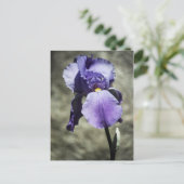 Il y a une carte postale de beauté (Debout devant)