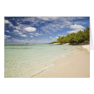 Ile Aux Cerf, meest populaire dagtrip voor 2
