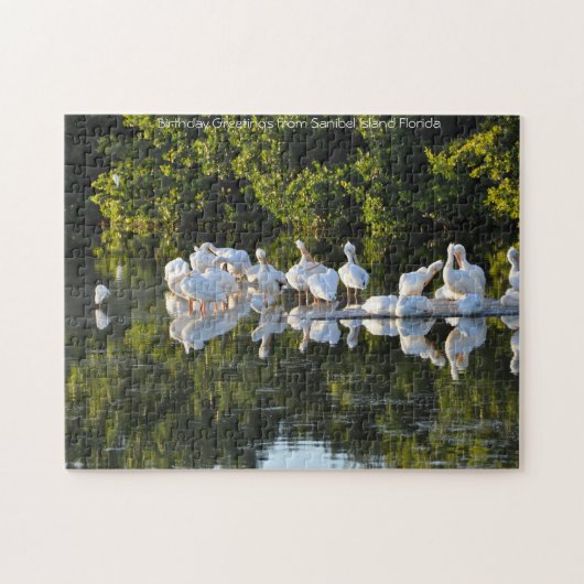 Île de Sanibel Floride. Puzzle (Horizontal)