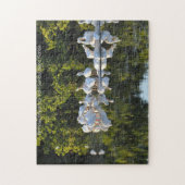 Île de Sanibel Floride. Puzzle (Vertical)