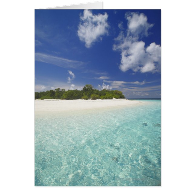 Île tropicale entourée de lagon, Maldives, (Devant)