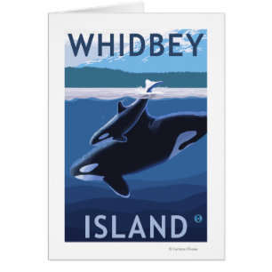 Île, WashingtonOrca et veau de Whidbey