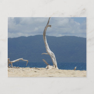 Îles Frankland - Australie Carte postale