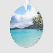 Îles Vierges américaines St. John (devant)