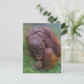 Illegale handel in wilde dieren en planten briefkaart (Staand voorkant)