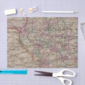 Illinois 10 tissuepapier (Craft)
