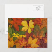 Illinois Autumn Feuilles carte postale (Devant / Derrière)